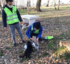 Edirne'de yabancı uyruklu öğrenciler sokak hayvanlarını besledi