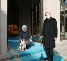 Emine Erdoğan, Cumhurbaşkanı Erdoğan'ı “Leblebi” ile birlikte uğurladı