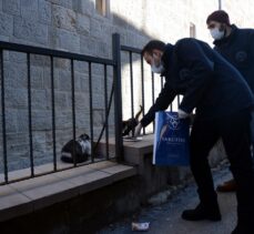 Erzurum ve Erzincan'da sokağa çıkma kısıtlamasında sokak hayvanları unutulmadı