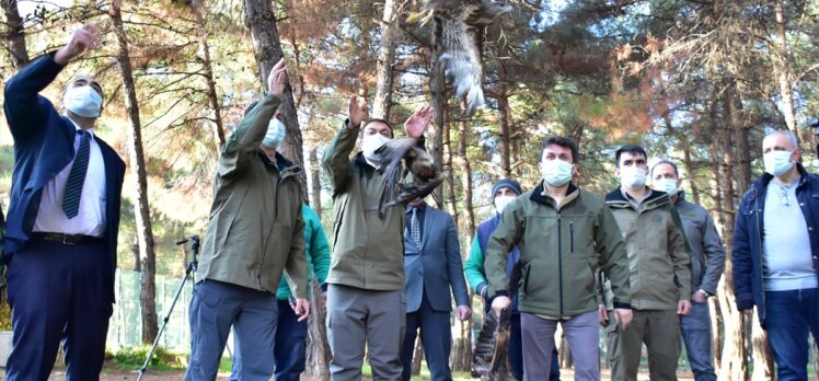 Gaziantep'te tedavisi tamamlanan kuşlar doğaya bırakıldı