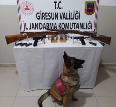 Giresun'da silah kaçakçılığı operasyonunda iki kişi yakalandı