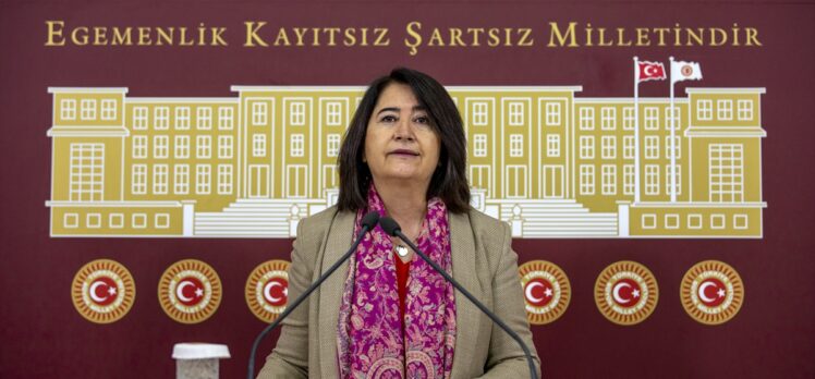 HDP'li Pekgözegü'den “Gerekirse özel hastaneler kamusallaştırılsın” önerisi