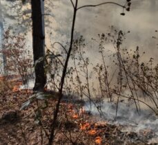 Kastamonu'da çıkan orman yangını kontrol altına alındı