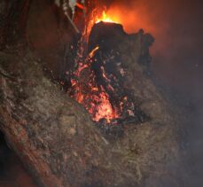 GÜNCELLEME – Kastamonu'da orman yangını
