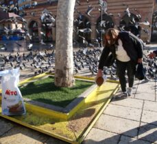 Kastamonu'da yiyecek bulmakta zorlanan kuşlar, gönüllüler ve belediye ekiplerince beslendi