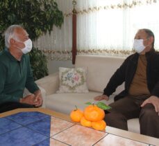 Kayseri'de bir aile, evlerindeki saksıda yetiştirdiği mandalinaları AK Partili Özhaseki ile topladı