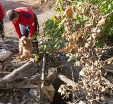 Mersin'de düştüğü kuyuda mahsur kalan köpeği itfaiye kurtardı