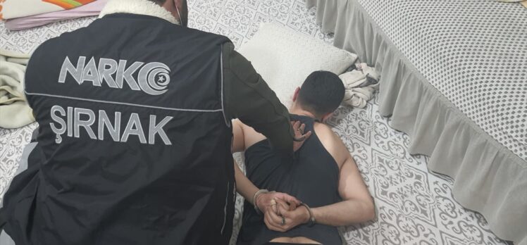 Şırnak'ta uyuşturucu operasyonunda 9 şüpheli yakalandı