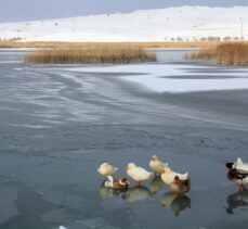 Sivas'ta Hafik Gölü buz tuttu