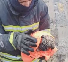 Sivas'ta kanalizasyon çukuruna düşen köpek yavrusunu itfaiye kurtardı