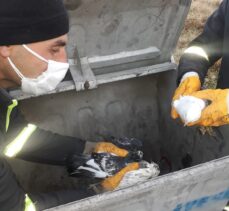 Soma'da temizlik işçileri poşetle çöp konteynerine atılmış 3 güvercin buldu
