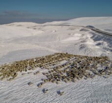 Van'da çobanlar aniden bastıran kar ve tipi nedeniyle zor anlar yaşadı