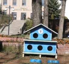 Yozgat Belediyesi sokak kediler için 20 barınak yaptırdı