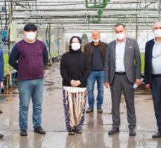 AK Parti'li Atabek şalvar giyerek ıspanak hasadı yaptı
