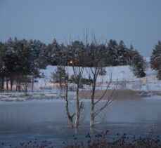 Bilecik'teki Pelitözü Göleti'nin su seviyesi kar yağışıyla yükseldi