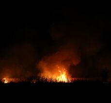 Bursa'da sazlık yangını