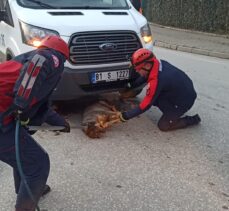 Düzce'de servis minibüsünün altında kalan yaralı köpek kurtarıldı