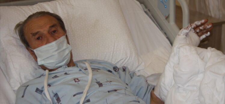 Edirne'de ormanda domuzun saldırdığı yaşlı adam yaralandı