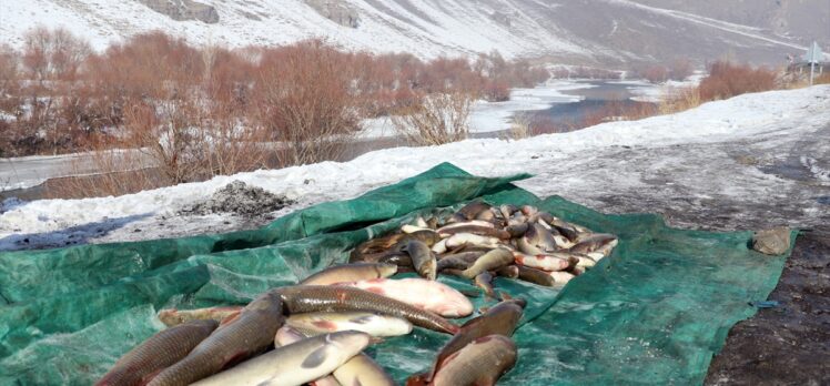 Ekmek parası için dondurucu soğuğa rağmen nehirdeki buzları kırıp balık avlıyorlar