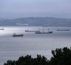 Karadeniz'deki fırtınadan kaçan gemiler Sinop doğal limanına sığındı