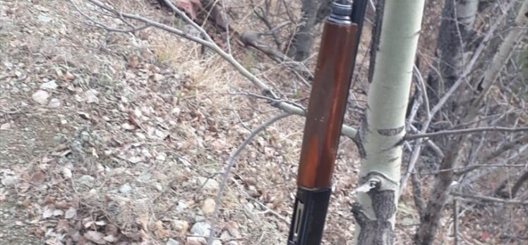 Kastamonu'da koruma altındaki kızıl geyiği avlayan kaçak avcılara ceza