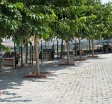 Kırşehir'de Kovid-19 sürecinde 130 sokak hayvanı sahiplendirildi