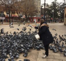 Kısıtlamada Kastamonu'nun tarihi meydanındaki kuşlar unutulmadı