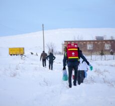 Sağlık ekipleri Bitlis'te kar ve soğuğa rağmen yaşlıların aşı çalışmalarını sürdürüyor