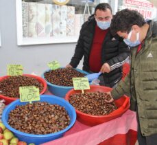 Sinop'ta kurak geçen mevsim kestane rekoltesini olumsuz etkiledi