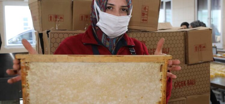 Sivas'ta devlet desteğiyle bal üreticilerinin sayısı artıyor