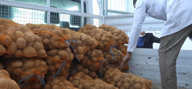 AK Partili belediyeler, çiftçiden aldıkları patatesi ihtiyaç sahiplerine dağıtacak
