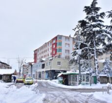 Bingöl'de kar ve tipi nedeniyle 262 yerleşim yerine ulaşım sağlanamıyor