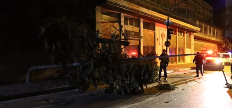 Bursa'da lodos elektrik direğini ve ağacı devirdi