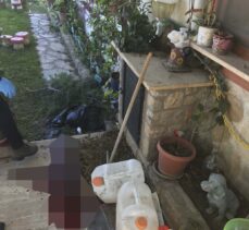 Datça'da evinin çatısından ağaç dalı budayan kişi zemine düşerek öldü