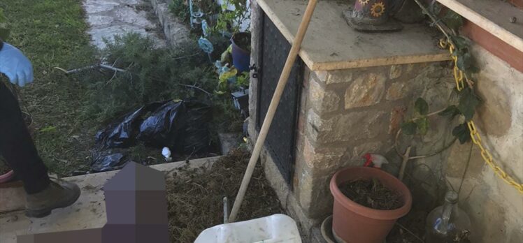 Datça'da evinin çatısından ağaç dalı budayan kişi zemine düşerek öldü