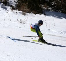 Diplomatik Kayak Yarışı, Yıldıztepe Kayak Merkezi'nde başladı