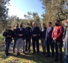 İYİ Partili Tatlıoğlu, Bursa'da ağaçlarında zarar oluşan zeytin üreticileriyle bir araya geldi