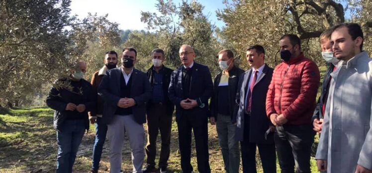 İYİ Partili Tatlıoğlu, Bursa'da ağaçlarında zarar oluşan zeytin üreticileriyle bir araya geldi