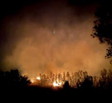 GÜNCELLEME – Kaş'ta sazlık alanda çıkan yangın seraları tehdit ediyor