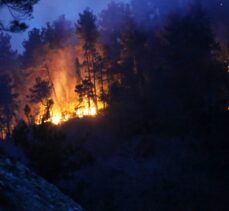 GÜNCELLEME 2 – Kastamonu'da ormanlık alan ve mahallede etkili olan yangına müdahale ediliyor