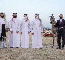 Katar'da düzenlenen “Katara Uluslararası Arap Atları Festivali” sona erdi
