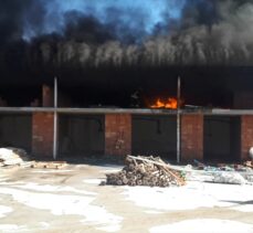 Muğla'da fidan üretim tesisinde çıkan yangın söndürüldü