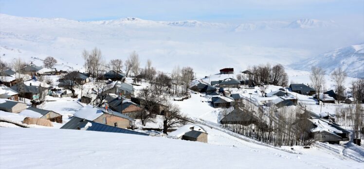 Muş'un yüksek rakımlı köylerinde tek katlı evler karla kaplandı
