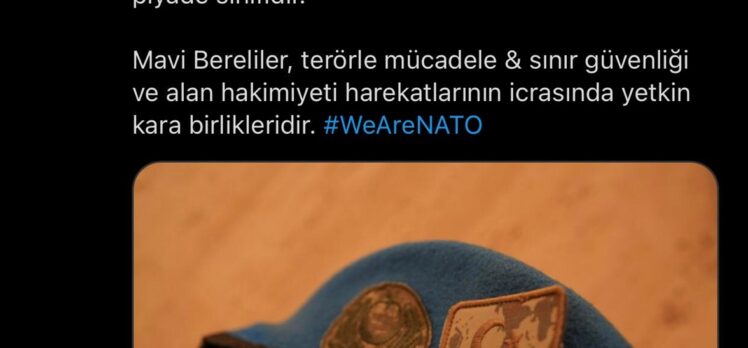 NATO Müttefik Kara Komutanlığı: Mavi Bereliler, Türk müttefiklerimizin seçkin piyade sınıfıdır