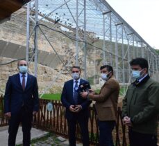 Sivas'ta karbonmonoksit gazından zehirlenen 3 çoban hastaneye kaldırıldı