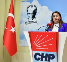 CHP'li Gülizar Biçer Karaca, İnsan Hakları Eylem Planı'nı değerlendirdi: