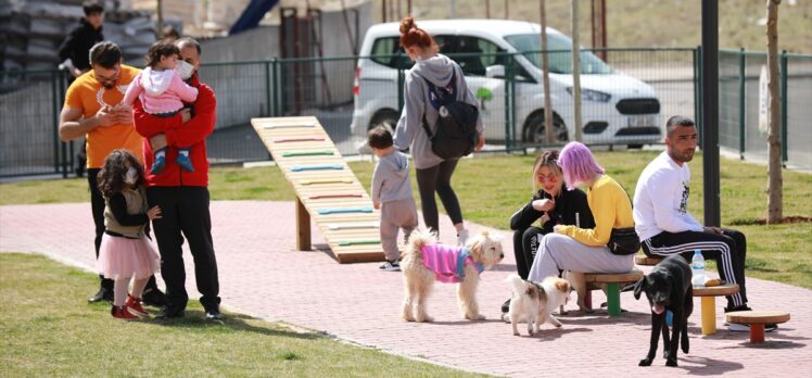 Gaziantep'teki evcil hayvan sahipleri Pet Park'a yoğun ilgi gösteriyor