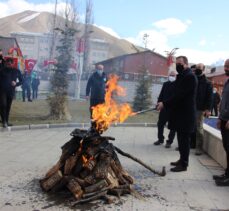 Van, Bitlis, Hakkari ve Muş'ta Nevruz Bayramı kutlandı