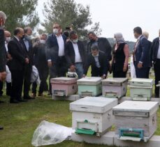 İzmir'de 100 Roman kadına, 1000 arı kovanı hibe edildi