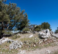 İzmir'de, Helenistik ve Roma dönemlerinde yoğun olarak kullanıldığı düşünülen bir taş ocağı keşfedildi